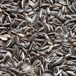 TRUFFAUT BIODIVERSITÉ - Graines de tournesol pour oiseaux du jardin - 20 kg