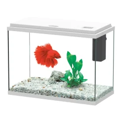 TRUFFY - Aquarium ALOE LED équipé blanc 24 litres - L.40,4xP.20,5xH.29,2cm