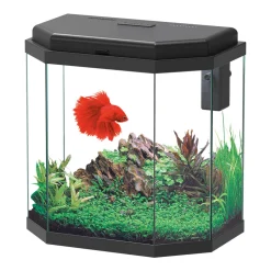 TRUFFY - Aquarium AURIA LED équipé noir 42 litres - L.40,1xP.25xH.41,5cm