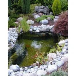 UBBINK - Bassin de jardin Start 1000 litres L215 x l170 x H65cm