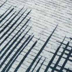 UNAMOURDETAPIS - Tapis de salon 200x290 lyn11 flona noir, facile d'entretien