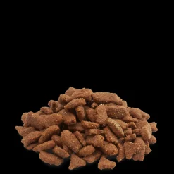 VERSELE-LAGA - Aliment en granulés, riches en protéines animales, 700g pour furets