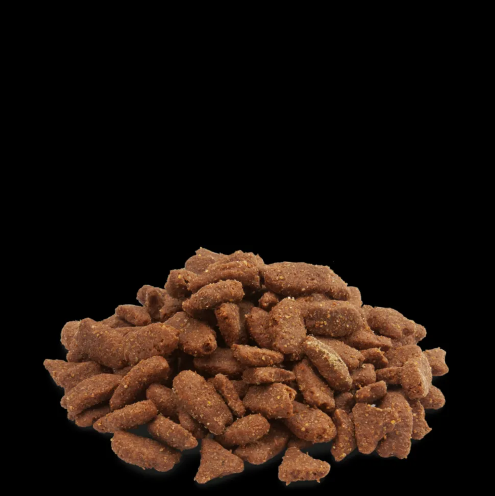 VERSELE-LAGA - Aliment en granulés, riches en protéines animales, 700g pour furets