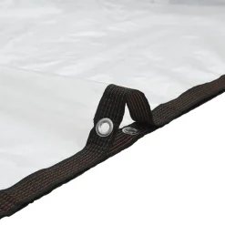 VIDAXL - Bâche transparente avec œillets 6x12 m polyéthylène