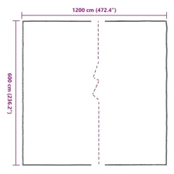 VIDAXL - Bâche transparente avec œillets 6x12 m polyéthylène