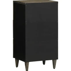 VIDAXL - Buffet 40x33x75 cm bois massif de manguier