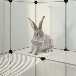 VIDAXL - Cage pour petits animaux transparent 142x74x93 cm pp et acier