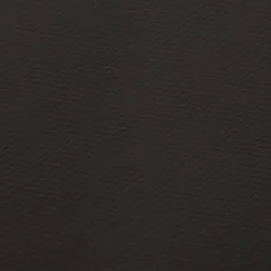 VIDAXL - Doublure d'étang noir 5x2 m pvc 1 mm