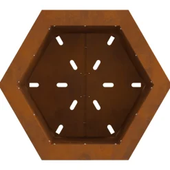 VIDAXL - Foyer sans fumée hexagonal 48x48x51 cm acier résistant aux intempéries