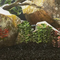 VIDAXL - Sable pour aquarium 10 kg noir 0,2-2 mm