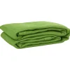 VIDAXL - Tapis de tente vert clair 250x600 cm pehd