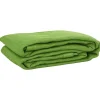 VIDAXL - Tapis de tente vert clair 250x300 cm pehd