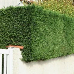 WILLEMSE FRANCE - Cyprès de leyland - le pot / ø 9cm / hauteur livrée environ 30cm, vendu par lot de 4