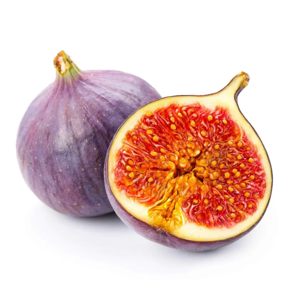 WILLEMSE FRANCE - Figuier perretta - le pot / ø 13cm / hauteur livrée 20-30cm, vendu par lot de 2