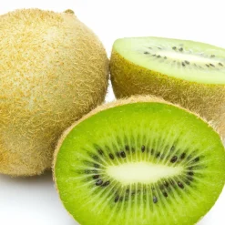 WILLEMSE FRANCE - Kiwi jenny - le pot / 2l / hauteur livrée 40-50cm.