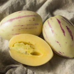 WILLEMSE FRANCE - Poire-melon - le pot / ø 10.5cm / hauteur livrée 10-15cm