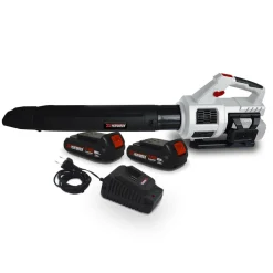 X-PERFORMER - Souffleur cyclonique sur batterie x-performer xpse40libl-2b - 40v - air 198 km/h - 2x batteries xpbat2a + chargeur