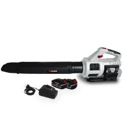 X-PERFORMER - Souffleur cyclonique sur batterie x-performer xpse40libl-2b - 40v - air 198 km/h - 2x batteries xpbat4a + chargeur