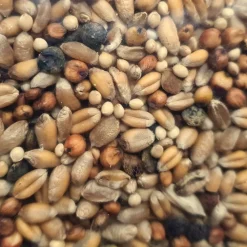 ZOLUX - Graines pour tourterelle sac de 800g pour oiseaux