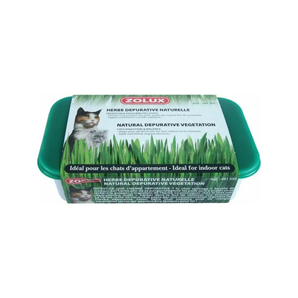 ZOLUX - Herbe à chat dépurative naturelle (lot de 3)