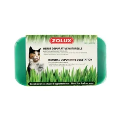 ZOLUX - Herbe à chat dépurative naturelle (lot de 3)