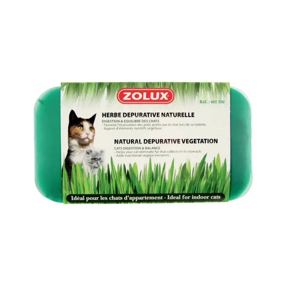 ZOLUX - Herbe à chat dépurative naturelle (lot de 3)