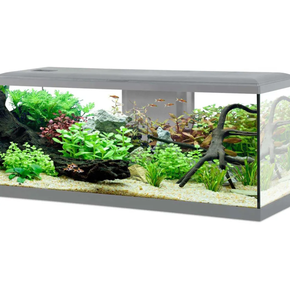ZOLUX - Kit aquarium tana 120l