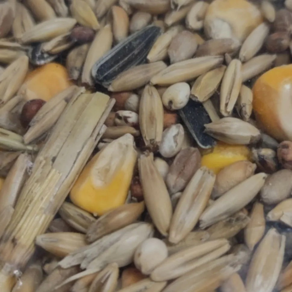 ZOLUX - Mélange pour poules pondeuses 4 kgs