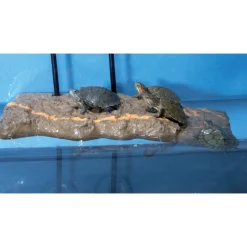 ZOOMED - Ilôt flottant pour tortue