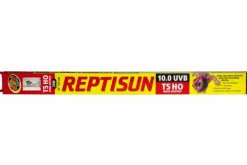ZOOMED - Repti sun 10.0 t5 24 w - tube t5 uvb 55 cm - tube d'éclairage t5 pour terrarium destiné aux reptiles (lézards, tortues)