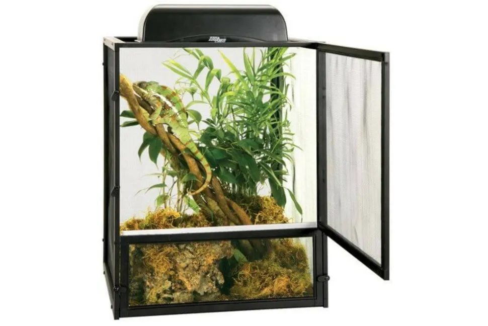 ZOOMED - Terrarium grillagé - reptibreeze small 41 x 41 x 51 cm - terrarium destiné aux lézards type caméléon